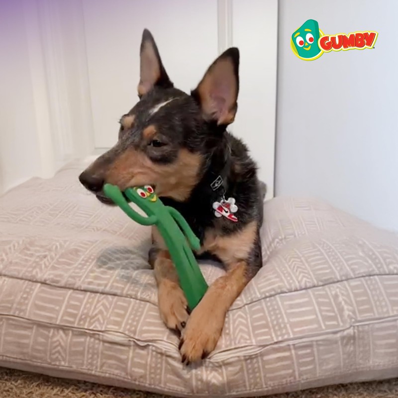 Multipet Gumby Latex Dog Toy - Squeaky Toy for All