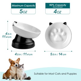 vancasso Slow Feeder Cat Bowl, Elevated Ceramic Slow Feeder Dog Bowls Small Breed, Raised Tilted Cat Food Bowls (Black)