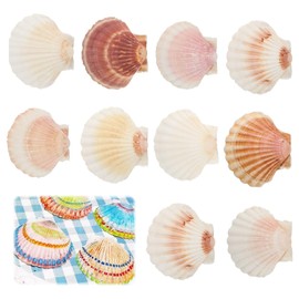 Yuqilin Pack of 10 Large Size Approx. 10-12 cm Shell Shell Large Scallop Natural Shell Scallop Bag Kitchen Decoration Craft Appetizer Plate Snack Decoration