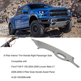 Right Passenger Side A Pillar Grab Handle Assist Panel 4L3Z-1503598-AAB Compatible with 2004-2008 Ford F-150/2006-2008 Lincoln Mark LT (Gray)