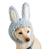 Youly Easter Blue Bunny Hat for Dogs, Small/Medium