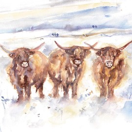 GBCC Charity Christmas Cards Pack of 8 - Charity Christmas Cards 2024 with a Highland Cow Design - Eco-Friendly Xmas Cards Multipack with Envelopes