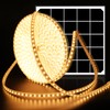 Lightonight Solar LED Strip Lights,32.8FT 6000mAh Large Capacity Solar String