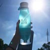 Mr. Gadget Solution® 650ml Portable Fruit infuser water bottle For