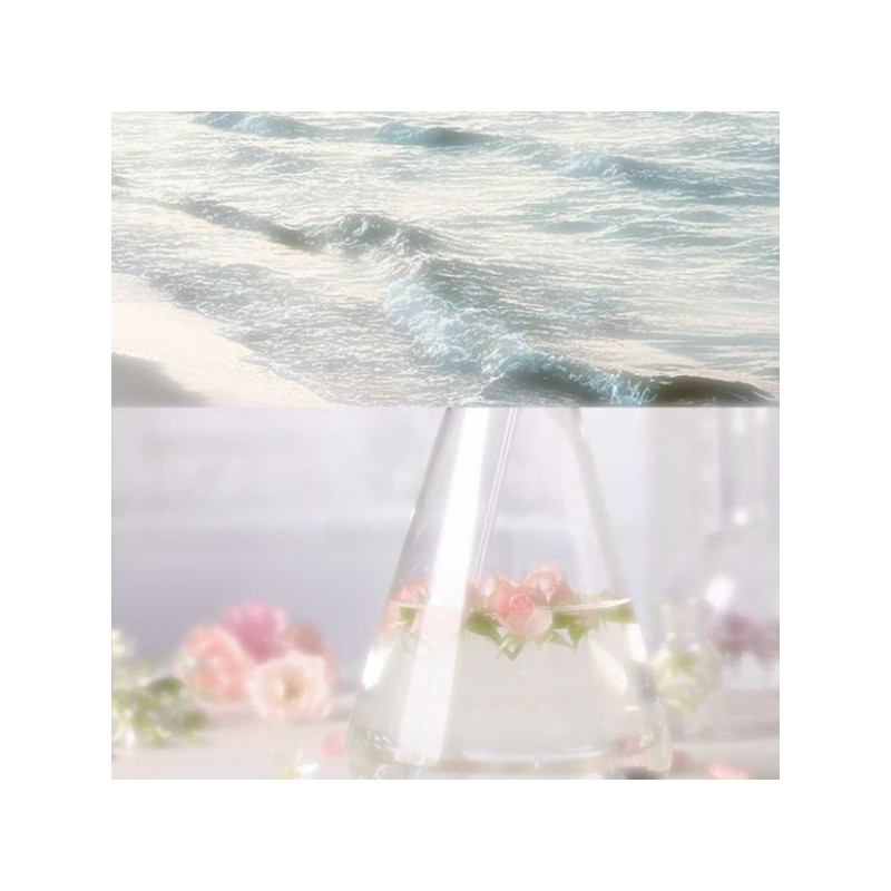 LOVEFLEUR Peony Dew Glow Tint 4g, Color:04 Lace