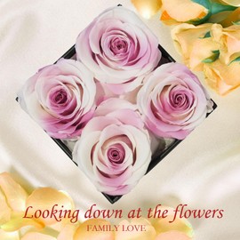 Nietiy Rose Flower Gifts for Women, Valentines Day Gifts,Birthday Gifts for Women,Gifts for Her,Happy Birthday,Woman, Thing Hand Flower,Preserved Rose