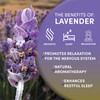 Worldwide Botanicals Organic Lavender Flowers, 4 ounces, Pure European Lavender