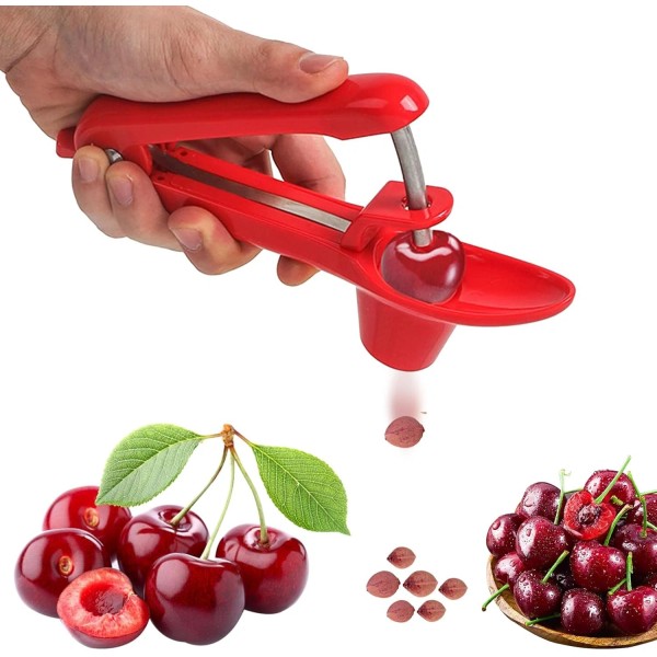 RICHSC-PAN Cherry Pitter, Stainless Steel Cherries Corer Pitter Tool with