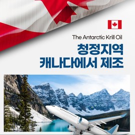 Krill Oil Krill Phospholipid Antarctic Krill Oil Canada 1000mg 30 tablets 1 box / 크릴오일 크릴 인지질 남극크릴오일 캐나다 1000mg 30정 1박스