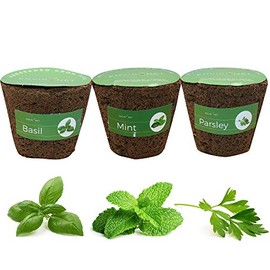 Environet 3 Inches Preseeded Herb Seeds Starter Plug for Soil and Hydroponic Applications, Replacement Plugs Hydroponic Mason Jar, 3 Pack(Basil, Mint, Parsley)