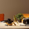 Kare Design Decorative Bowl Parrot Guard Gold / Green Fruit