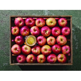 Le Parfait Super Terrine - 125ml French Glass Canning Jar w/Straight Body, Airtight Rubber Seal & Glass Lid, 4oz (Pack of 6) Stainless Wire