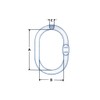 Lifting Master Link Ring with Flat Grade 100 17MM (G100