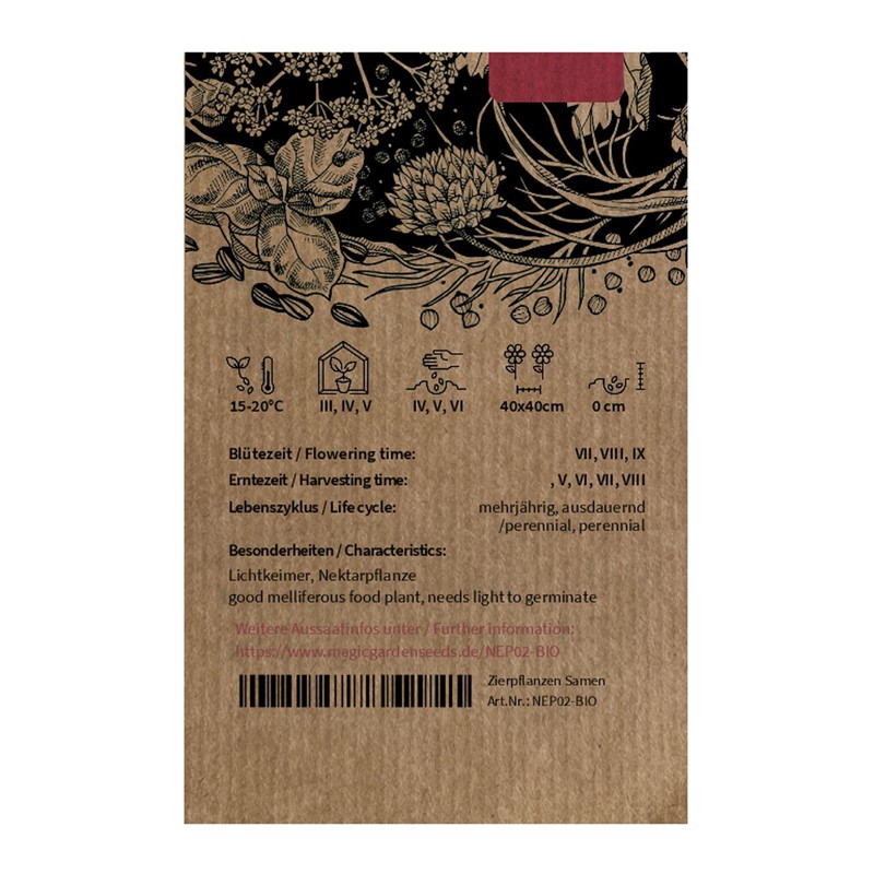 Zitronen-Katzenminze/Weisse Melisse (Nepeta cataria ssp. citriodora) Bio - ca. 100