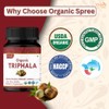 Organic Spree Triphala 120 Tablets | Amla, Haritaki & Bibhitaki