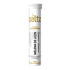 SELTZ TABLETA EFERVESCENTE MELENA DE LEON 90G