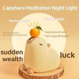 Cute Capybara Night Light for Kids & Babies,Animal Lamp,Touch Control Squishy Lamp,Non-Toxic Silicone,Funny Bedside Nursury Nightlight with Timer & Rechargeable,Baby Toddler Night Light Lamp