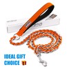Chain Dog Leash Chew Proof Metal Leash for Medium Large