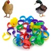 DHER A pack of 40 poultry anklets in 5 colours,