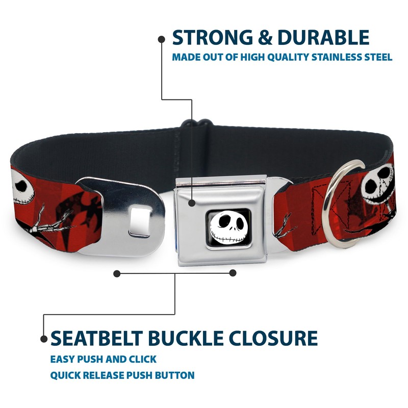 Buckle-Down Collar de Perro con Hebilla para cinturón de Seguridad