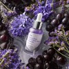 Seongbun Editor 머루포도 비타C 다크 스팟 앰플 30ml Black Grape Vitamin C Dark Spot Ampoule 30ml