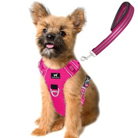 TUFFDOG Easy-Fit Dog Harness Small Dog - Fast Release Neck Clip, Premium Padded Reflective No Pull Harness with Control Handle, Adjustable Step-in Dog Vest Plus Free Matching Lead (S, Hot Pink)