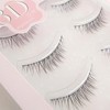 CLEAREYELASH Natural False Eyelashes, Natural 3D Eyelashes, 5 Pairs (N02