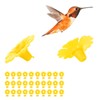 CHICIRIS Juego de 30 Comederos para Colibrí, Flores Colgantes, Puertos