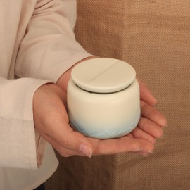 DiDiBirDi Urn Mini Urn Cover Holder for Cremation Urn Tortoise Cremation Urn Urn Cover Compact Small Divine Pink Natural Material Capsule Divine Urn Buddha Supplies Mini Size Urn Pet Urn Friendly Urn