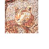 Moda Women's Scarf Leopard Print Kitchen Item Name Levo Lino