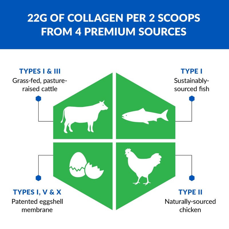 BioTrust Ageless Multi Collagen Peptides Powder – 5 Types (I,