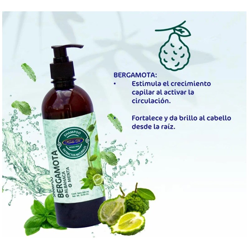 Karla Di: Shampoo de Bergamota, Albahaca Y Menta 500 ML