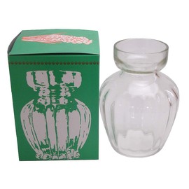 Frontier Glass Hyacinth Glass Pot for 1 Ball Frontier 1 Piece