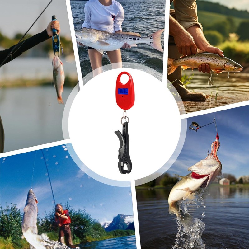Fish Scale - Small Fishing Scale | Portable Digital Fishing