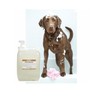 Dog Shampoo Soothing Oatmeal Pro Concentrate Tropical Coconut Scent Choose