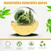50 Compressed Facial Sponges, Esponja para Lavar la Cara, Esponjas