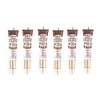 Paquete de 6 brillos de labios transparentes Kiss Broadway (aceite