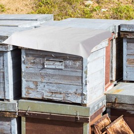 10 Pcs Beehive Cover, Cotton Beekeeping Cover Cotton Beehive Cover Beehive Insulation Covering Cloth Beekeeper Beekeeping Equipment Tool