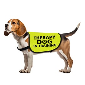 Zuo Bao Therapy Dog Jacket Vest for Large Dogs (Therapy Dog in Training-Large)