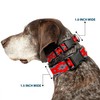 Buckle-Down PC-W31418-NL Dog Collar Plastic Clip Buckle, 1/2"x9"-15", Navajo Gray/Red/Gray/Black