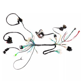 Unbranded Wiring Harness Magneto Stator Light fo 70cc 110cc 125cc ATV Quad Taotao Coolster