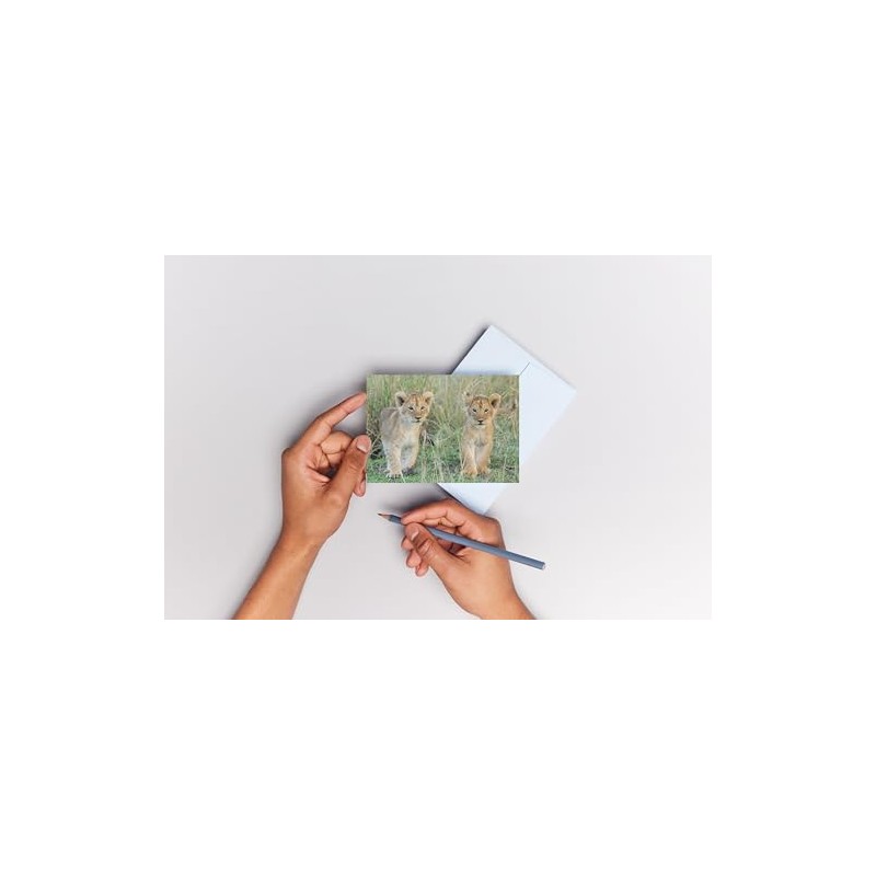 3D Postcard/Lenticular Card Cats'Two young lion in the Serengeti "