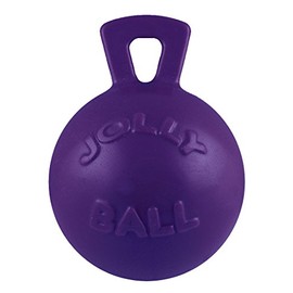 Jolly Pets Tug-n-Toss Heavy Duty Dog Toy Ball with Handle, 6 Inches/Medium, Purple