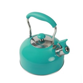Whistling Tea Kettle, 2.5L Stainless Steel, Turquoise, Fast Boiling, Induction Compatible