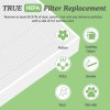 Nispira True HEPA Filter for Envion Allergy Pro AP450 Air