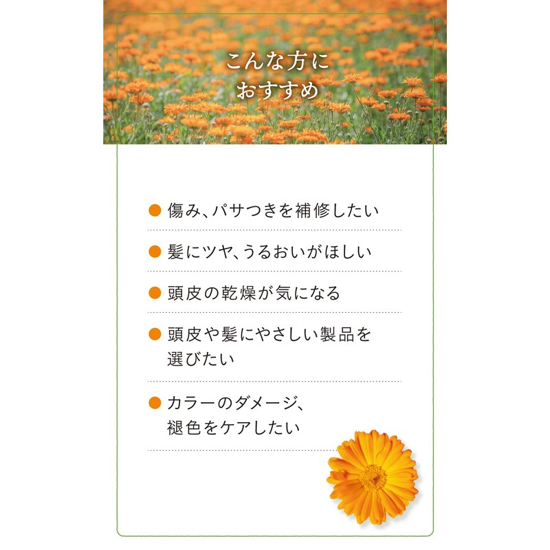 Natural Island Calendula Feel Shampoo 13.5 fl oz (400 ml),