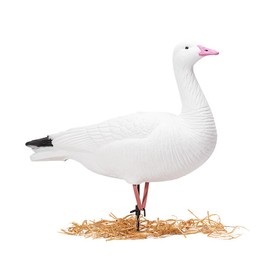 Heerweiyi Realistic Snow Goose Decoys - Durable and Detailed Hunting Decoy Set with Lifelike Feather Patterns - 6-Pack for Outdoor Sports and Waterfowl Hunting