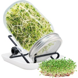 Sprouting Jar, Sprouts Growing kit, Mason Jar for Bean Sprouts Grow, Seed Sprouter Set for Growing Alfalfa, Mung Bea