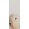 Farmhouse Fresh Rich Shea Butter Body Cream - Fluffy Bunny