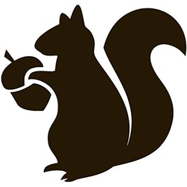 Squirrel Vinyl Sticker Decals for Car Bumper Window Laptop Tablet Phone (Black, 4")